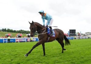 Lazy Griff Death: Middleham Park Racing Mourns Loss of Beloved Racehorse